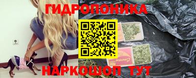 гидра Шахты