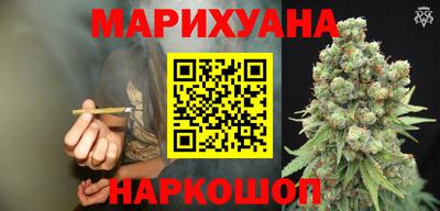 гидра Шахты